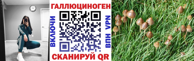 Купить где  Лесосибирск  Галлюциногенные грибы ЛСД 